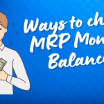 check MRP Money Balance